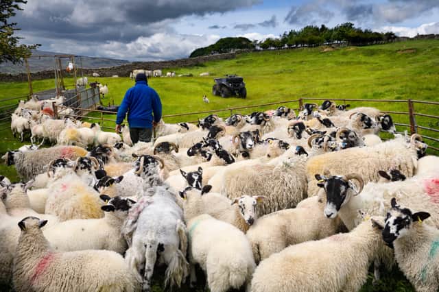 The impact of the New Zealand trade deal on farming is causing concern.