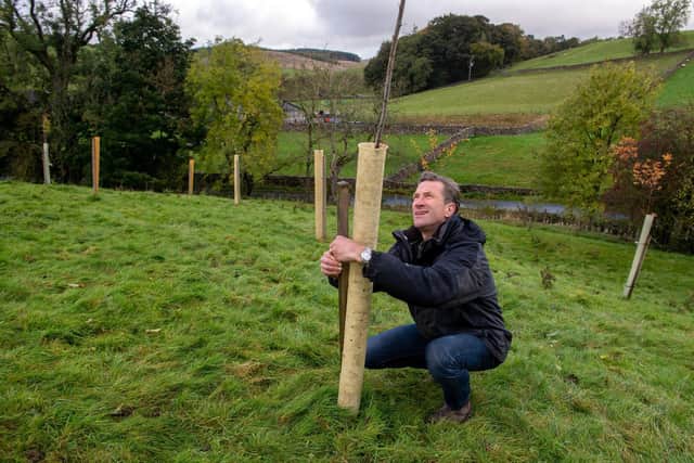 He is campaigning to replace plastic tree guards with ones made from natural materials