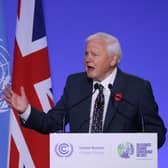 Sir David Attenborough delivers a speech during the opening ceremony for the COP26 summit at the Scottish Event Campus (SEC) in Glasgow.