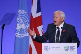 Sir David Attenborough delivers a speech during the opening ceremony for the COP26 summit at the Scottish Event Campus (SEC) in Glasgow.