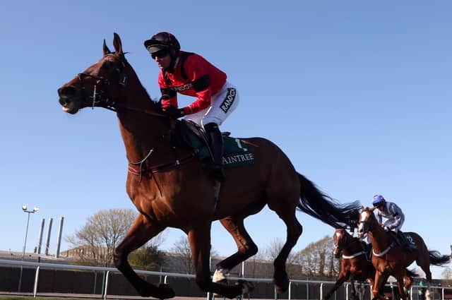 This was Ahoy Senor in  Grade One-winning hurdle action at Aintree in April for trainer Lucinda Russell and jockey Derek Fox.