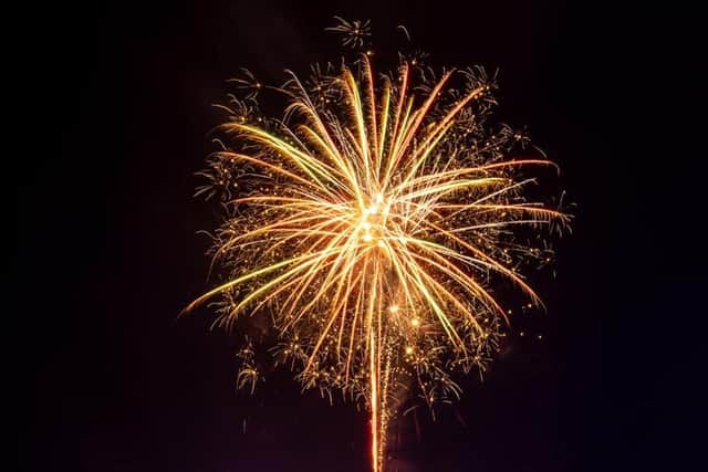 Should there be more stringent controls on the sale of fireworks?