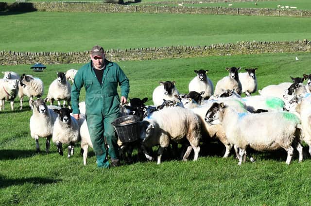 They also farm sheep on their land near Bradford