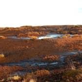 Undated handout photo issued by The Wildlife Trusts of degraded peatlands in Yorkshire.