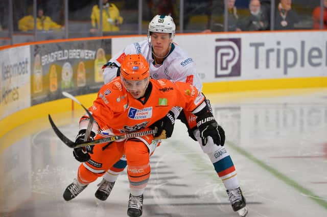 Anthony DeLuca who scored Steelers' second goal in the 7-1 rout of Belfast Giants. (Picture: Dean Woolley)