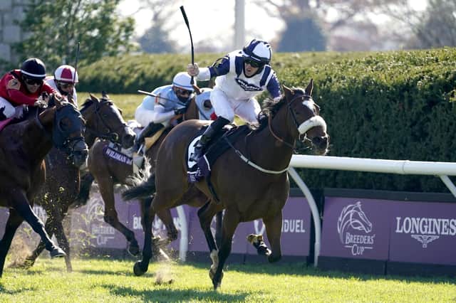 This was Glass Slippers and Tom Eaves winning the 2020  Breeder's Cup Turf at Keeneland.