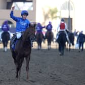 Jockey William Buick celebrates aboard Yibir after winning the Breeders' Cup Turf at Del Mar.
