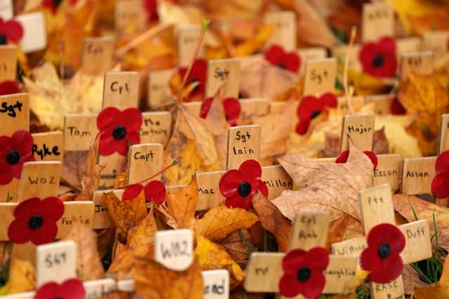 Fallen autumn leaves surround wooden crosses in the remembrance garden in George Square in Glasgow