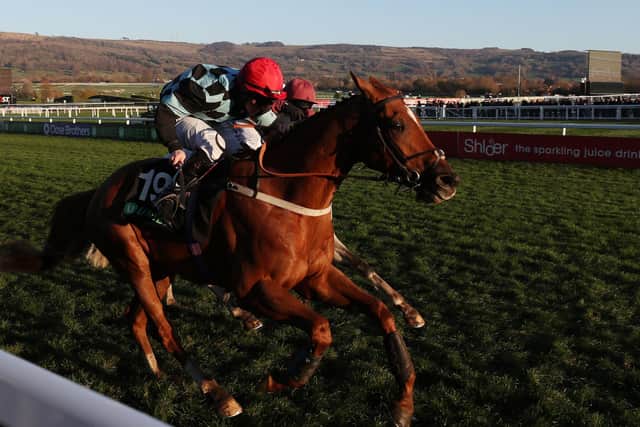 Nietzsche ridden by Danny McMenamin on their way to victory in the Unibet Greatwood Handicap Hurdle during day three of the November Meeting at Cheltenham Racecourse in 2018.