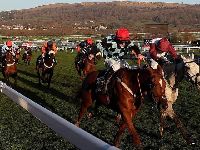 Nietzsche ridden by Danny McMenamin on their way to victory in the Unibet Greatwood Handicap Hurdle during day three of the November Meeting at Cheltenham Racecourse.
