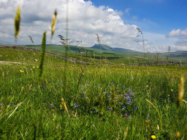 One of the key recommendations of the North Yorkshire Rural Commission’s final report was to establish a new taskforce to drive forward its findings to ensure potential solutions to ingrained issues affecting the countryside become a reality.