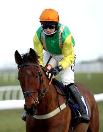 Ryan Mania is due to partner Midnight Shadow in today's Paddy Power Gold Cup at Cheltenham.