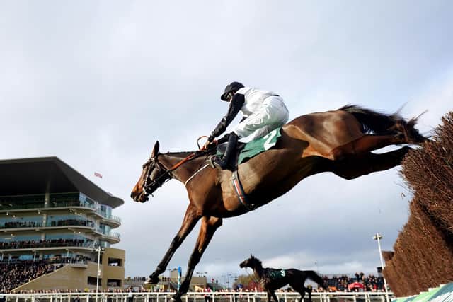 Gin On Lime ridden by Rachael Blackmore on their way to winning the SSS Super Alloys Novices' Chase on day one of the November Meeting at Cheltenham racecourse.
