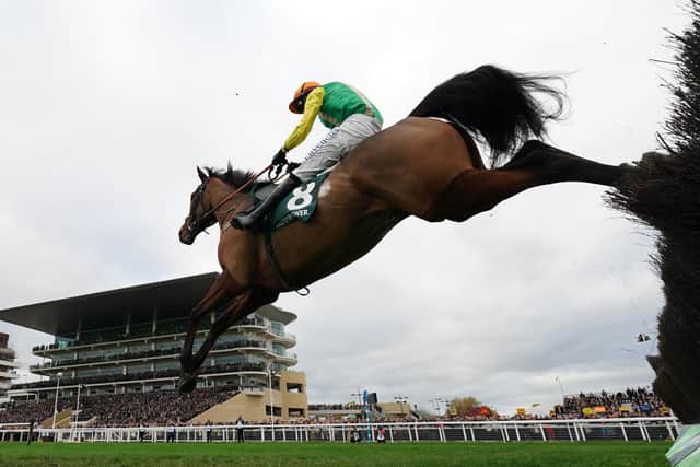 Midnight Shadow and Ryan Mania clear a fence in the Paddy Power Gold Cup.