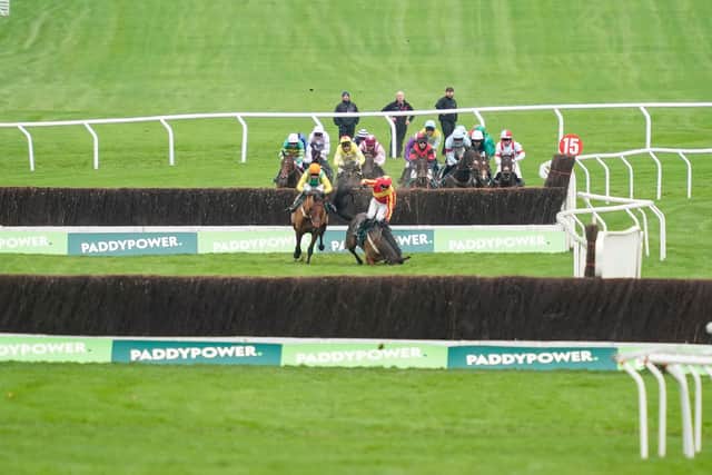 FALL: Coole Cody, right, fell at the second last hurdle. Picture: Getty Images.