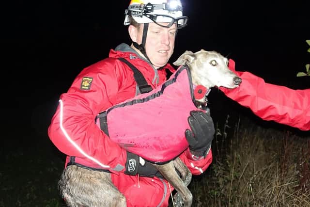Millie the whippet with one of her rescuers (Pic: Scarborough and Ryedale Mountain Rescue team/Facebook)