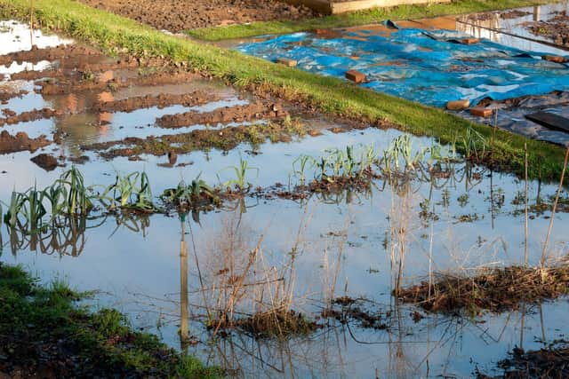 More people are finding their allotments are being affected by flooding. (Picture: PA).