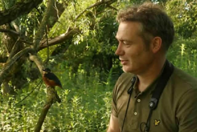 Thixendale wildlife artist Robert E Fuller has released a rehabilitated kingfisher chick back into the wild.