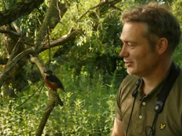 Thixendale wildlife artist Robert E Fuller has released a rehabilitated kingfisher chick back into the wild.