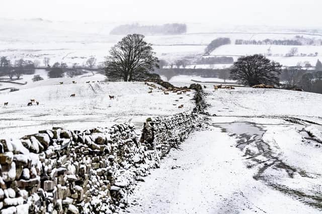 What is a white Christmas? The Met Office explains. (Pic credit: James Hardisty)