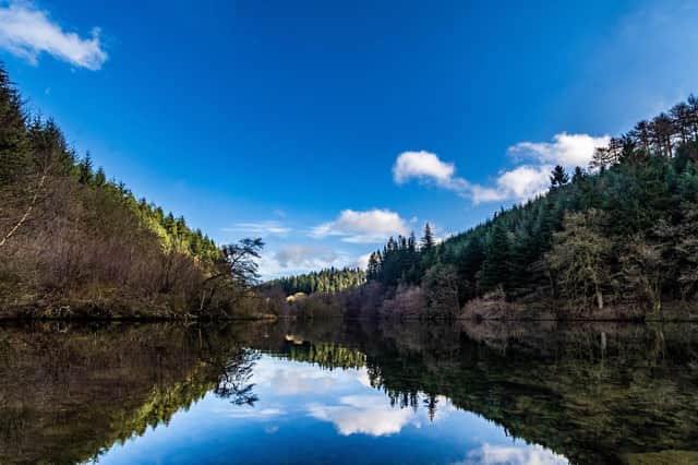 Dalby Forest in North Yorkshire. Picture: James Hardisty.