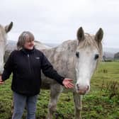 Margaret Bamford still breeds horses on the farm