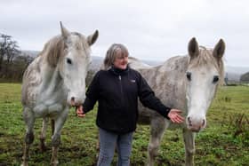 Margaret Bamford still breeds horses on the farm