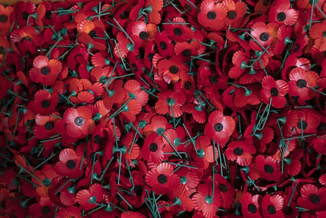 A file photo of some poppies
