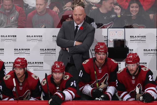 CONFIDENT: Arizona Coyotes head coach, Andre Tourigny, believes Liam Kirk will bounce back from his ACL injury blow  Picture: Christian Petersen/Getty Images