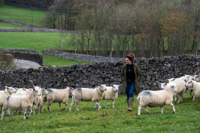 Sophie Platts uses wool from a select flocks of sheep for her bedding