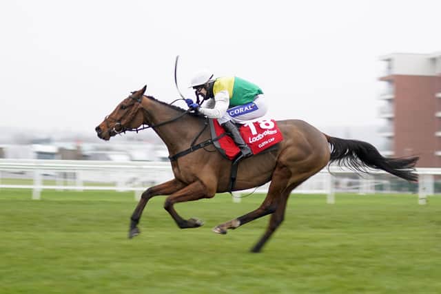 This was Tom Scudamore and Cloth Cap winning last year's Ladbrokes Trophy at Newbury.