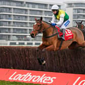 Tom Scudamore and Cloth Cap clear a fence in last year's Ladbrokes Trophy at Newbury.