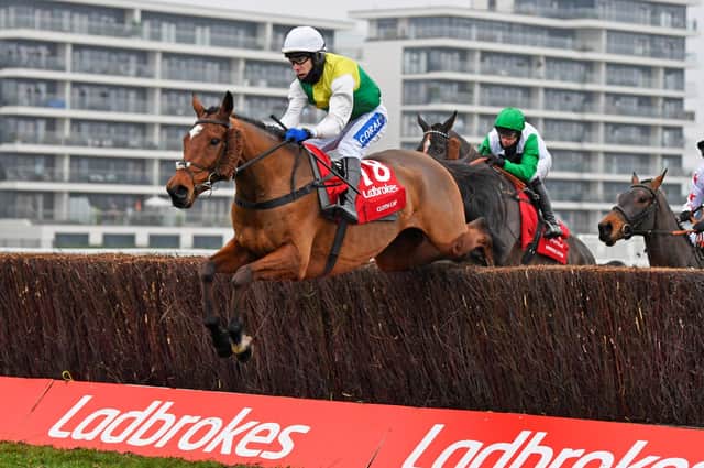 Tom Scudamore and Cloth Cap clear a fence in last year's Ladbrokes Trophy at Newbury.