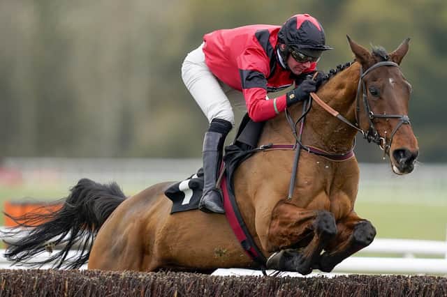 This was Ahoy Senor and Derek Fox landing the Ladbrokes John Francome Novices' Chase at Newbury on Saturday, with former champion jockey Peter Scudamore hopeful that the partnership is destined for the top.