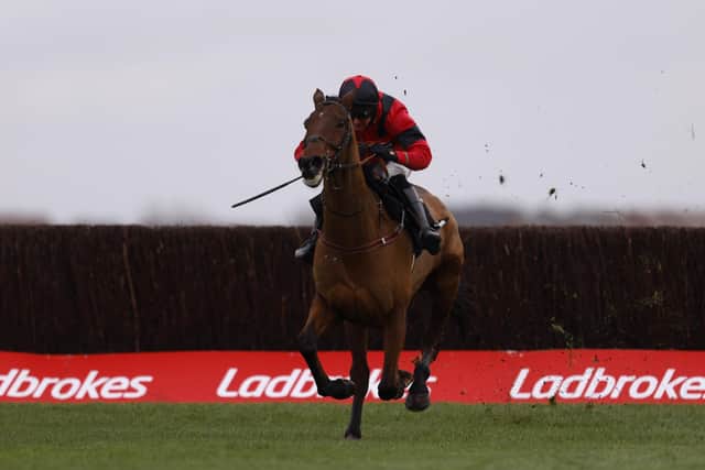 This was Ahoy Senor and Derek Fox landing the Ladbrokes John Francome Novices' Chase at Newbury on Saturday, with former champion jockey Peter Scudamore hopeful that the partnership is destined for the top.