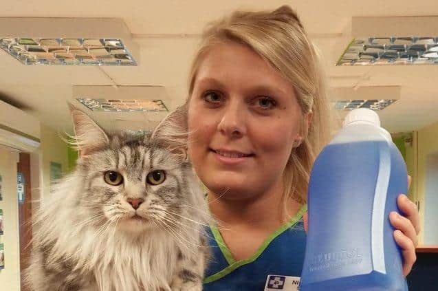 White Cross Vets Nurse Nicola Bond with pet cat Poppy.