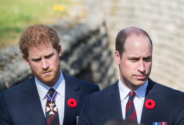 The Duke of Cambridge and the Duke of Sussex, from the BBC documentary The Princes and the Press