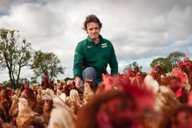 "An insect diet could suit our hens better - they seem to enjoy it."