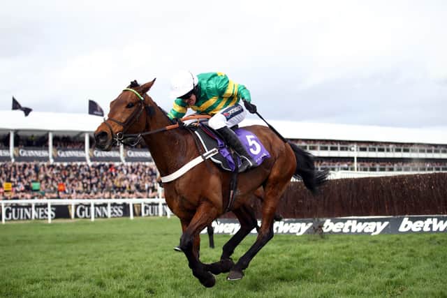 Champ - pictured winning the RSA Chase at the 2020 Cheltenham Festival under the now retired Barry Geraghty - will miss his intended reappearance at Aintree this weekend.
