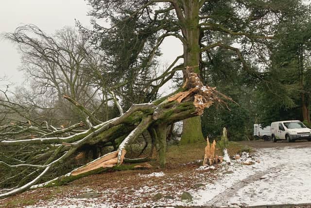 Thousands of homes are still without power nearly a week after Storm Arwen hit the North.