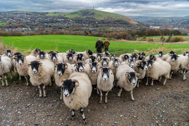 The family are descended from a farmer who came to Slaithwaite from Northern Ireland