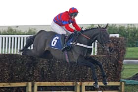 David Bass and Sprinter Sacre clear the last at Doncaster where the steeplechasing superstar made his debut over larger obstacles 10 years ago.
