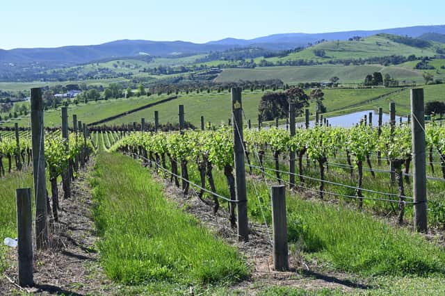 The Yarra Valley is a great place for Chardonnay.
