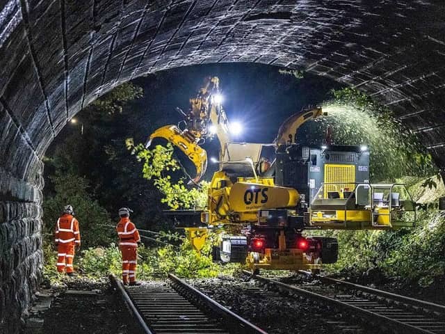 Renew rail workers clear a fallen tree