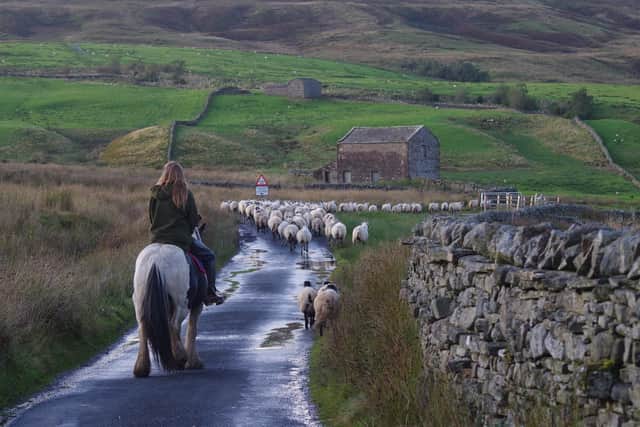 February at Ravenseat Farm in North Yorkshire. Amanda Owen picture taken by one of her children