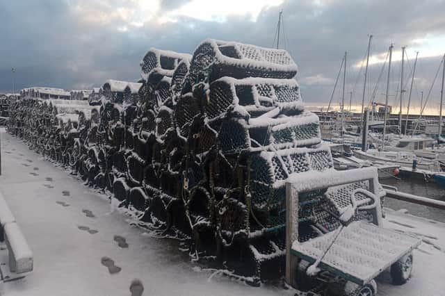 The Bridlington RNLI team is offering people the chance to catch a ‘retired’ lobster pot and create a beautiful garden centrepiece. Courtesy of Bridlington RNLI