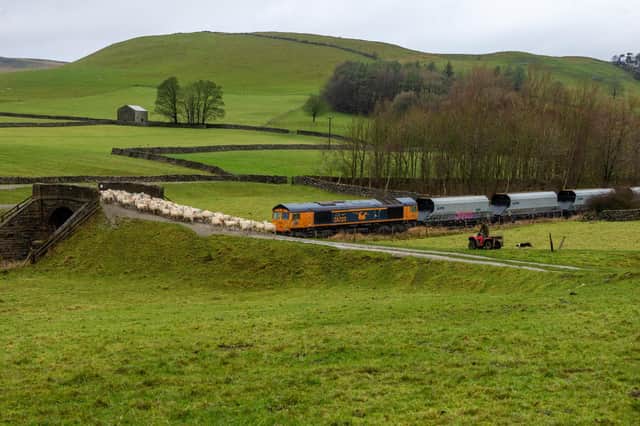 Rounding up sheep while a quarry train passes
