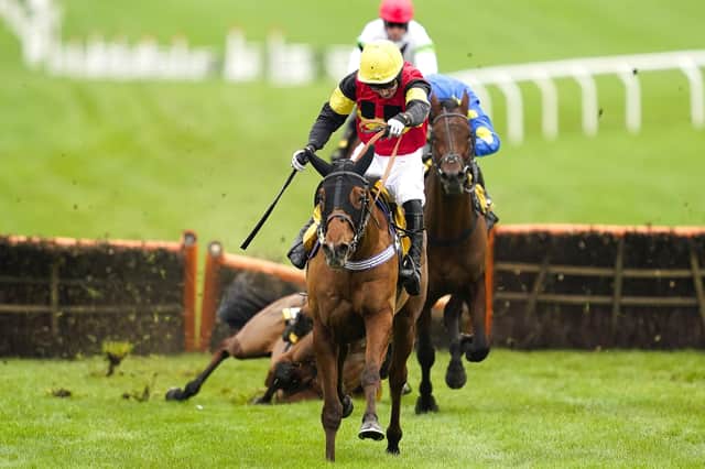 This was Knight Saluter and Paddy Brennan winning at Cheltenham last month; they head to Doncaster today.