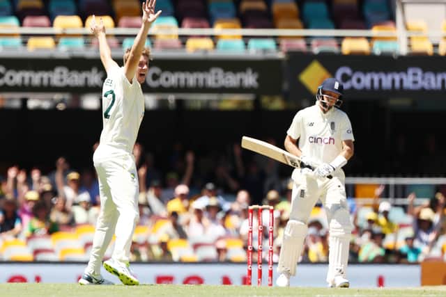 Gone: Australia's  Cameron Green claims the wicket of England's Joe Root.