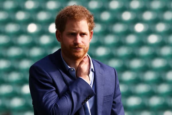 Prince Harry continues to divide public opinion.